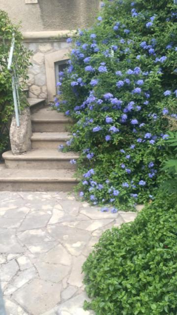 Chez Catherine Arles Bagian luar foto